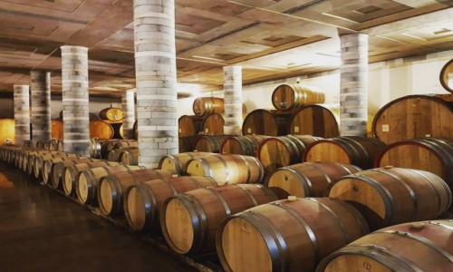 WOCHY / Toskania / Cantine Dei, Montepulciano / Winnica Cantine Dei