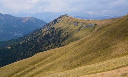 Zdjcie WOCHY / Trento / Passo Pordoi  / Dolomity