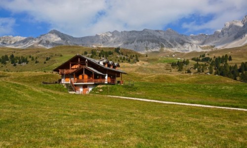 Zdjcie WOCHY / Trento / Moena / Dolomity
