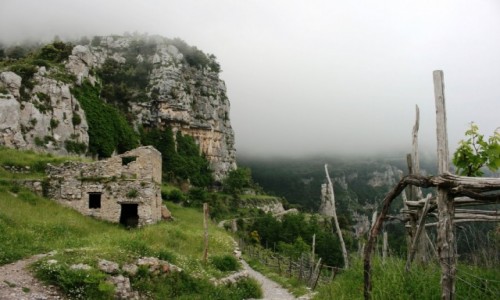Zdjecie WOCHY / Sorrento / Sentiero degli Dei / Na granicy