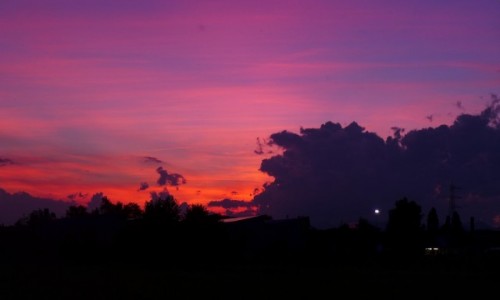 Zdjecie WOCHY / - / Udine / No filter, no photoshop. Zachd soca nad Udine. 