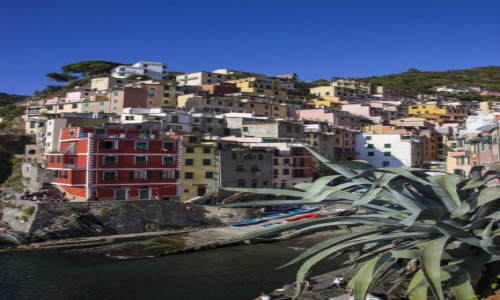 Zdjcie WOCHY / Cinque Terre / Riomaggiore / Riomaggiore