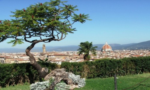 Zdjęcie WłOCHY / Toskania  / Florencja / Dachy Florencji