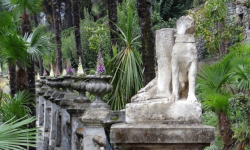 Zdjcie WOCHY / Lombardia  / Varenna / Villa Monastero - ogrd 