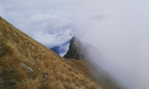 Zdjecie WOCHY / Alpi apuane  / Alpi apuane  / Widz nie widz 
