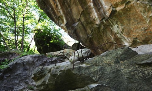 Zdjecie WOCHY / Chiavenna / Park Marmitte dei Giganti / Spacer z pajkami