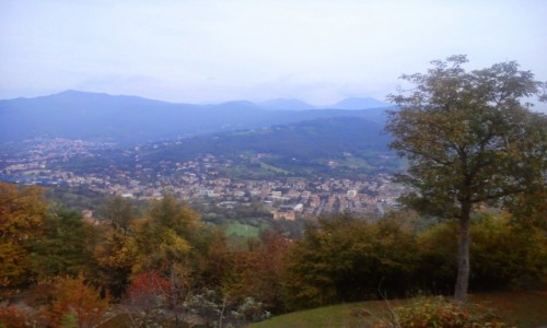 Zdjecie WOCHY / - / Bergamo / Pierwsze dalekie i egzotyczne