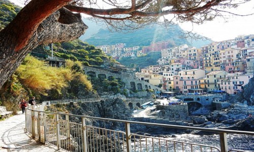 Zdjcie WOCHY / Liguria / Manarola / Cinque terre