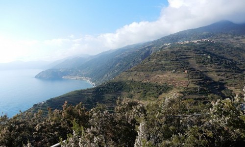 Zdjecie WOCHY / Liguria / na szlaku / Cinque terre