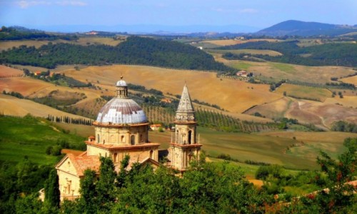 Zdjecie WOCHY / Toskania / Val d'Orcia / Toskaski koci