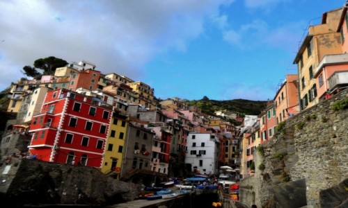 Zdjcie WOCHY / Liguria / Riomaggiore / Cinque Terre