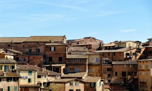 Zdjecie WOCHY / Toskania / Siena / Siena