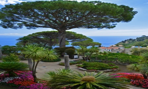 Zdjcie WOCHY / Kampania / Ravello / ogrody Ravello
