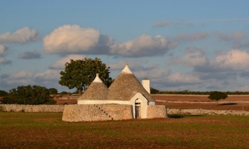 Zdjcie WOCHY / Apulia / - / Okolice Alberobello