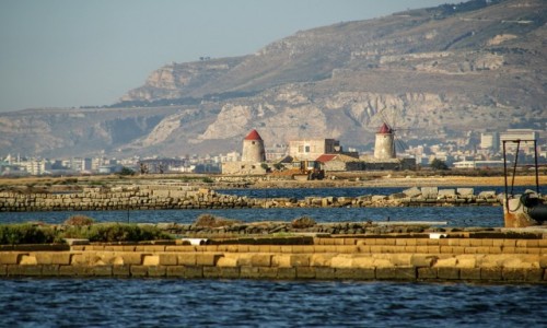 Zdjecie WOCHY / Sycylia / okolice Trapani / Saliny