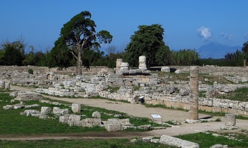 Zdjcie WOCHY / Kampania / Paestum / Paestum - widok oglny
