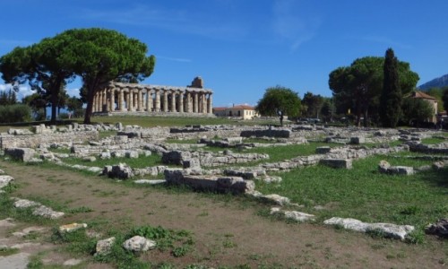 Zdjcie WOCHY / Kampania / Paestum / Paestum - widok oglny