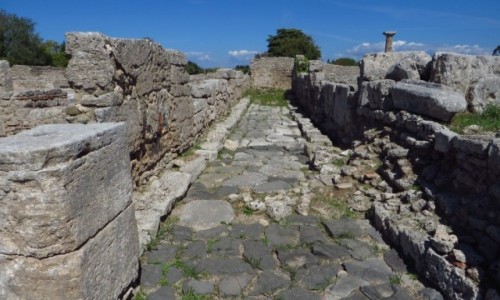 Zdjcie WOCHY / Kampania / Paestum / Paestum - ulica