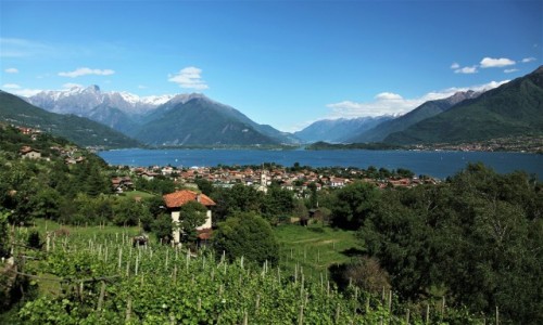Zdjcie WOCHY / Lombardia / . / Dervio