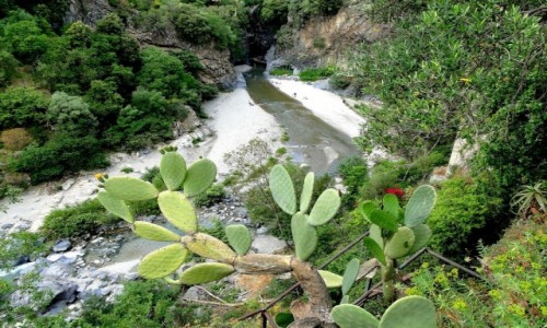 Zdjęcie WłOCHY / Sycylia / okolice Taorminy / Z podróży po Sycylii.