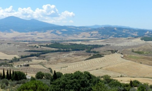 Zdjcie WOCHY / Toskania / Val d'Orcia / Val d'Orcia