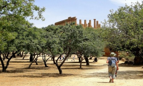 WłOCHY / Sycylia / Agrigento / Z podróży po Sycylii - Agrigento (10)