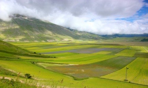 Zdjecie WOCHY / Umbria / Castelluccio di Norcia / Piano grande