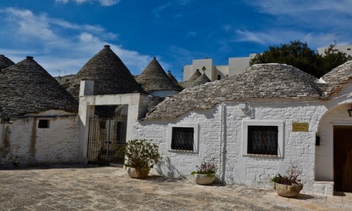 Zdjcie WOCHY / Apulia  / Alberobello / Alberobello