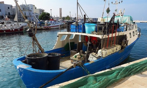 Zdjęcie WłOCHY / Apulia / Monopoli / port rybacki