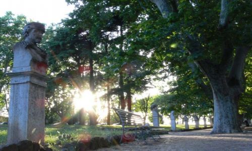 Zdj�cie W�OCHY / brak / GIANNICOLO /  ALEJA