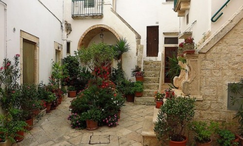 Zdjecie WOCHY / Apulia / Locorotondo / stare miasto
