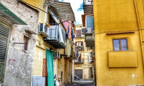 Zdjecie WOCHY / Sycylia / Palermo / Palermo
