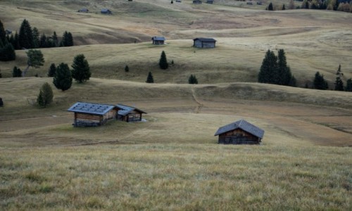 Zdjecie WOCHY / . / . / Alpe di Siusi