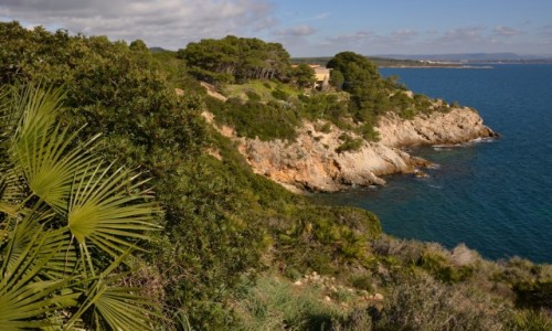 Zdj�cie W�OCHY / Sardynia / Okolice Alghero / Okolice Alghero