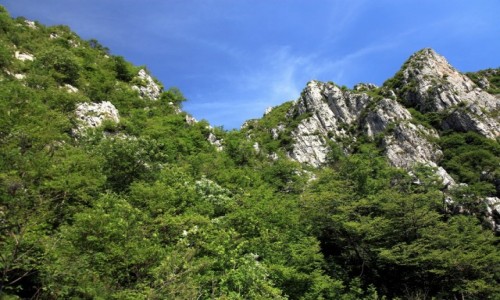 Zdjcie WOCHY / Lombardia / Gra San Martino / Pod bkitnym niebem