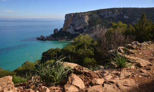 Zdjęcie WłOCHY / Sardynia / Cala Luna / Cala Luna
