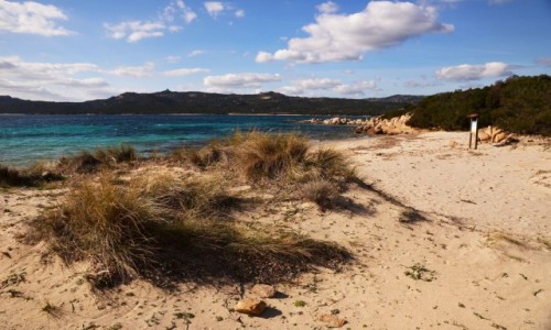 Zdjęcie WłOCHY / Sardynia / Costa Smeralda / Spiaggia La Celvia