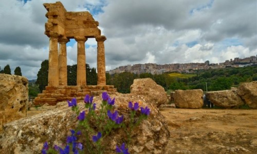 Zdjęcie WłOCHY / sycylia / agrigento / Dolina świątyń