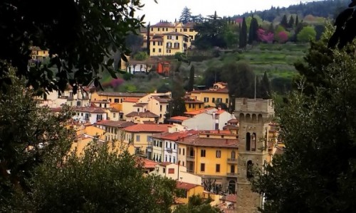 Zdjcie WOCHY / Toskania / Fiesole / domy wrd drzew