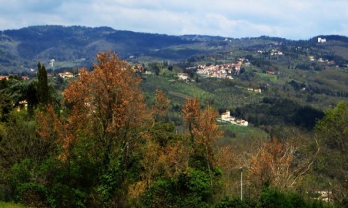 Zdjcie WOCHY / Toskania / Fiesole / krajobrazy toskaskie