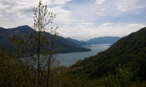 Zdjcie WOCHY / Como / Varese / Como