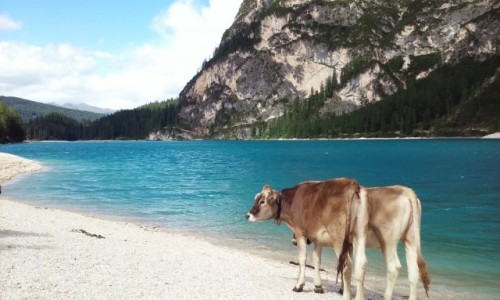 Zdjecie WOCHY / Dolomity / Dolomity / Nad jezioro? Czemu nie...