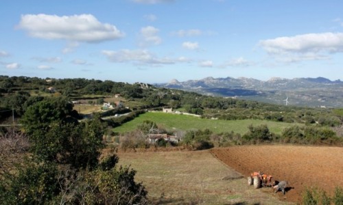 Zdjęcie WłOCHY / Sardynia / Luras / Region Gallura