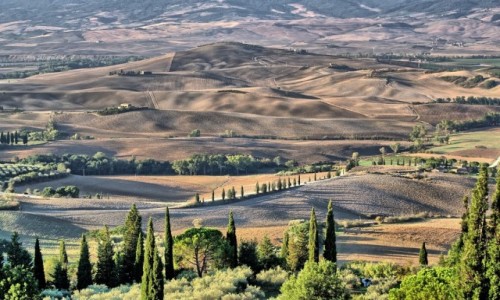 Zdjcie WOCHY / Toskania / Pienza / Toskania