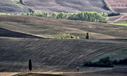 Zdjcie WOCHY / Toskania / Pienza / Toskania