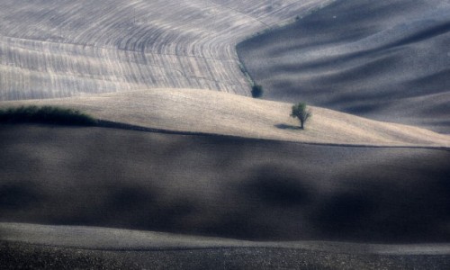 Zdjęcie WłOCHY / Toskania / Okolice Pienzy / Toskania