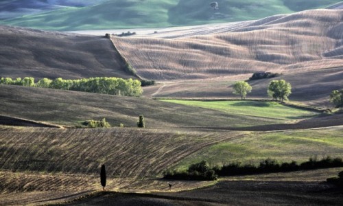 Zdjcie WOCHY / Toskania / Pienza / Toskania