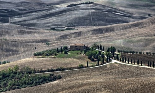 Zdjcie WOCHY / Toskania / Pienza / Toskania