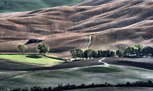 Zdjcie WOCHY / Toskania / Pienza / Toskania
