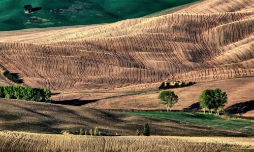 Zdjcie WOCHY / Toskania / Pienza / Toskania